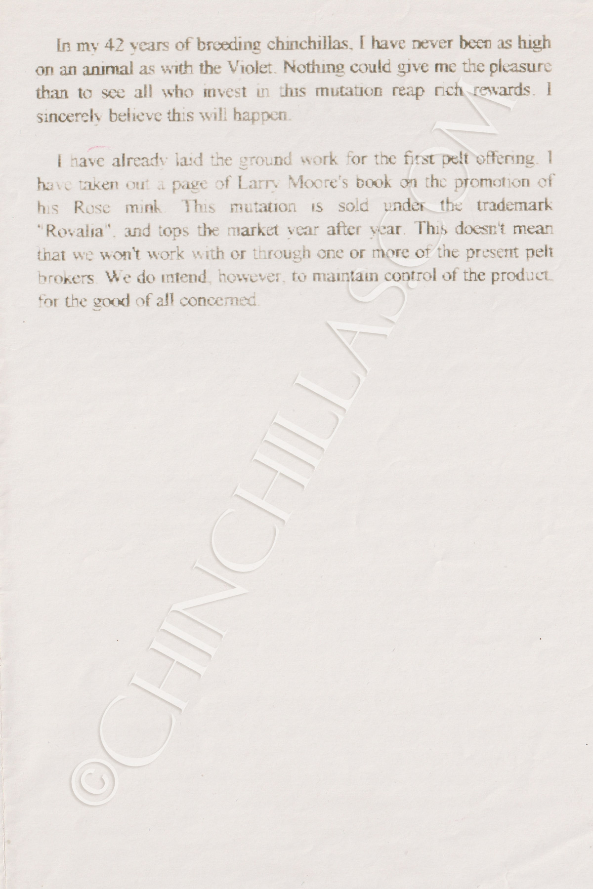 Violet Chinchilla Lloyd Sullivan Original Manuscript Account Mr X Rhodesia Africa Oakhurst California